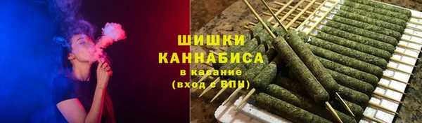 PSILOCYBIN Богородск