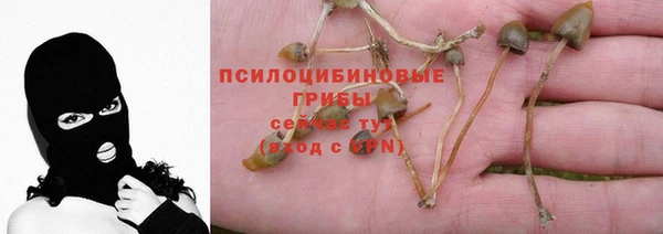 дурь Верея