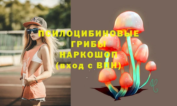 PSILOCYBIN Богородск