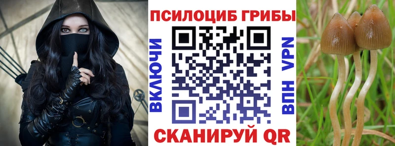 Галлюциногенные грибы Psilocybe  Стрежевой 